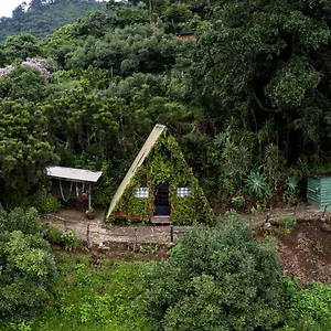 Earth Guatemala
